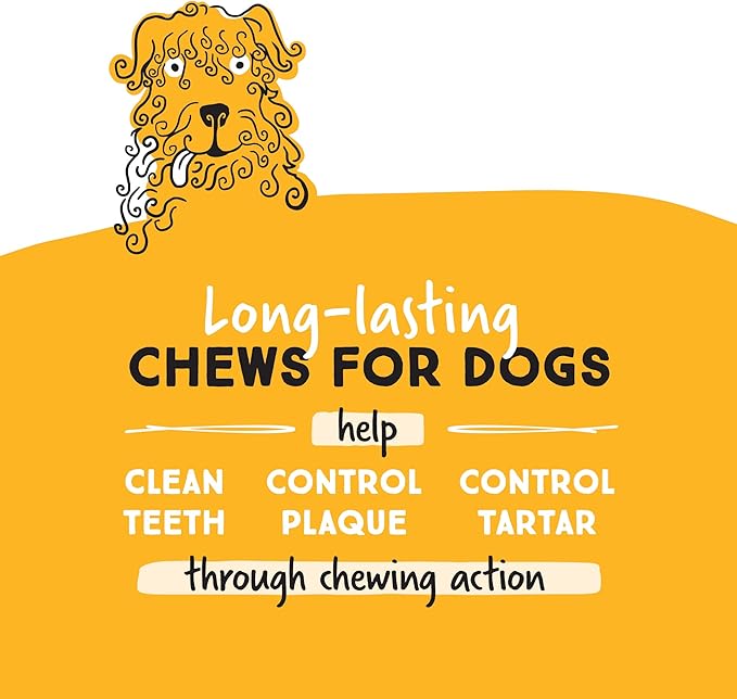 Ultra Chewy Mini Double Treat Bones: Long-Lasting Dog Treats Made in USA, Highly Digestible, Ideal for Aggressive Chewers 9oz (Chicken, 2 Packs)