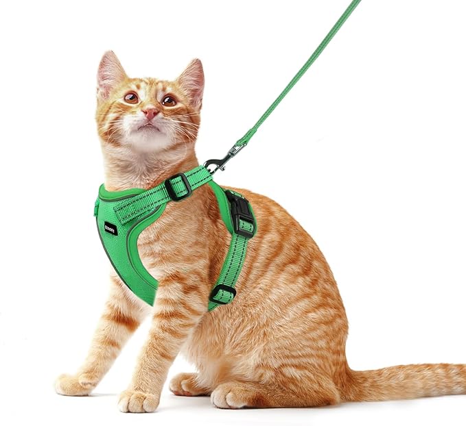 Rttochfy Cat Harness and Leash Set, Adjustable and Reflective Cat Vest, Escape Proof Kitten Harness, Easy to Put on with 3 Buckles for Cats Walking and Traveling (Green, M)