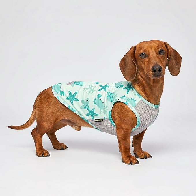 Fitwarm 2 Pack Marine UPF 50+ UV Sun Protection Dog Shirt, Lightweight Cooling Vest, Quick Dry Summer Clothes for Small Dogs Boy Girl, Pet Outfit, Sky Blue, Mint Green, Large