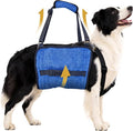 Dog Lift Harness, Dog Sling for Small Medium Dogs, Breathable Dog Support Harness for Senior Injured Disabled Dogs, ACL Surgery Arthritis Recovery Mobility Aid (XL)