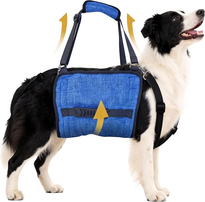 Dog Lift Harness, Dog Sling for Small Medium Dogs, Breathable Dog Support Harness for Senior Injured Disabled Dogs, ACL Surgery Arthritis Recovery Mobility Aid (L)
