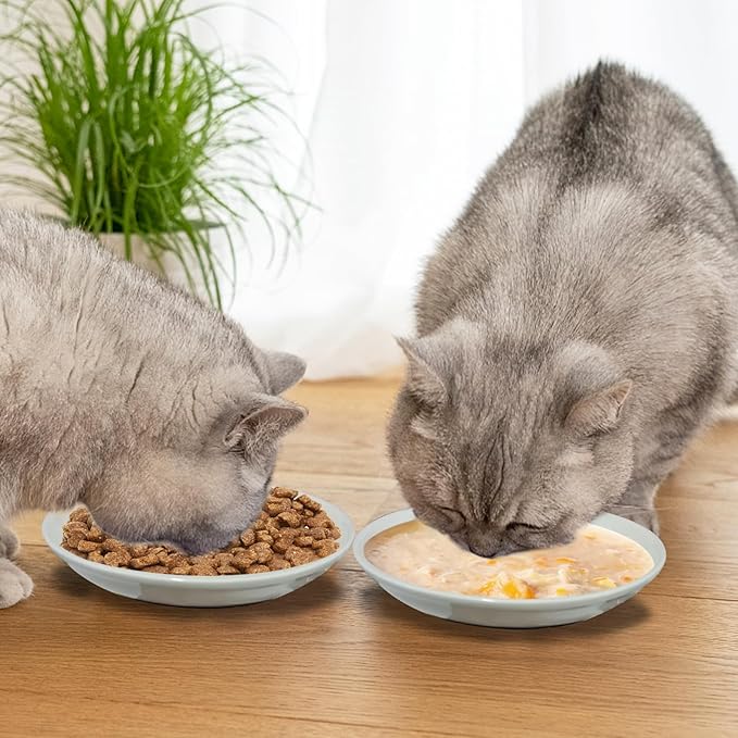 3-Pack Ceramic Cat Food Bowls, Wide Shallow Dish & Anti-Whisker Fatigue, Nonslip Silicone Base for Indoor Cats & Kittens, for Wet/Dry Food & Water