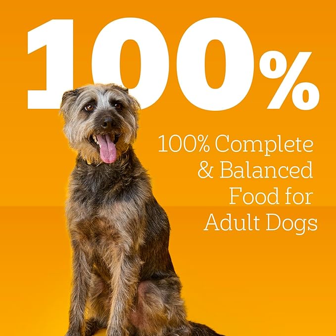 Pedigree Wet Dog Food, Choice Cuts Adult Canned Dog Food Variety Pack, 13.2 oz. Cans, 12 Count