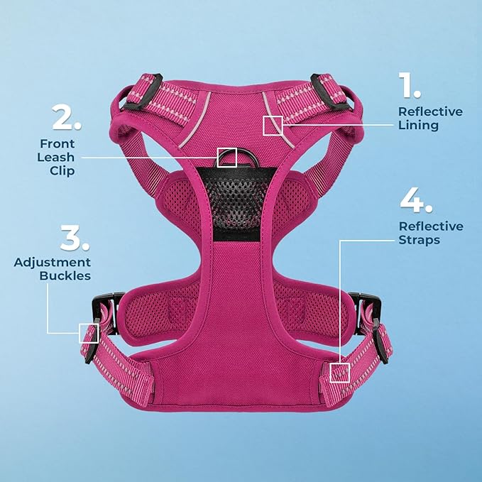 Voyager Dog Harness Dual Leash Attachment No-Pull Control Adjustable Soft but Strong Pet Harness for Medium and Large Dogs with 3M Reflective Technology, Leash Set Fuchsia Nylon, L (Chest: 25-30")