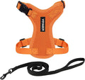 Voyager Escape-Proof Step-in Lock Cat Harness & 5ft Neoprene-Handle Leash Set All-Weather Mesh with Reflective Stitching for Small to Large Cats by Best Pet Supplies, Orange, XXXS