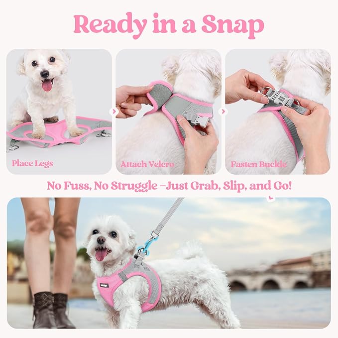 rabbitgoo Dog Harness Small Medium Sized and Leash Set, Step in Soft Light Puppy Vest, Breathable Mesh Pet Harness, Reflective for Safe Easy Walking, Pink & Gray L