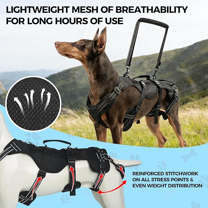 BINGPET Dog Lift Harness for Large Dogs,Full Body Support Rehabilitation Dog Sling Carrier with Handles,Reflective Multifunctional Mobility Assistance Vest for Senior Pets Joint Injuries,Arthritis,L