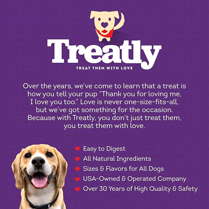 USA Beefhide Braids 12-13" Dog Chew Treats - Natural Flavor, 2 Count/1 Pack