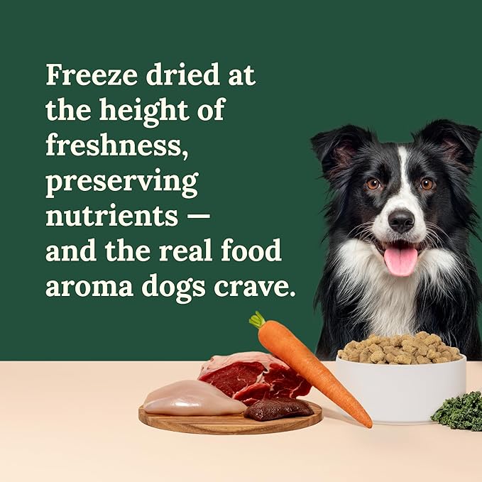 360 Pet Nutrition Freeze-Dried Raw Dog Food – Multi-Protein with Beef, Chicken, Fish, Liver & Organs, High Protein, Omega-3s, Fruits, Veggies & Superfoods, Grain-Free, No Fillers, 1 lb – Made in USA