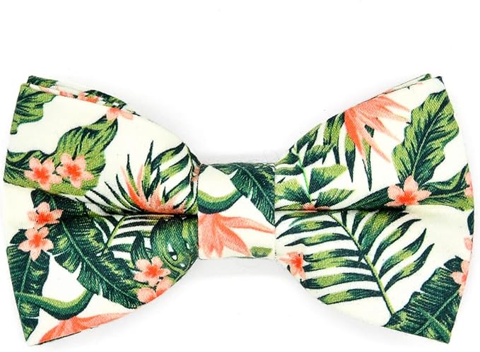 Bow Tie Cat Collar Set, Wedding/Birthday Gift for Cat, Summer Strelizia Flower Floral, Cat Accessories