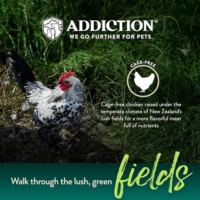 Addiction Meaty Bites - Hypoallergenic Dog Treats - Made in New Zealand - High Meat Content - Gluten and Grain-Free - Soft and Allergy Friendly (Chicken, 4 Ounces - 3 Packs)