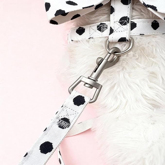 Cat Harness and Leash Set, Sweet Bow Accent Kitten Collar, Escape Proof Small Dog Harness, Cute Polka Dot Print Puppy Collar, Boy Girl Dog Leash for Cats Small Dogs Outdoor Walking (White, M)