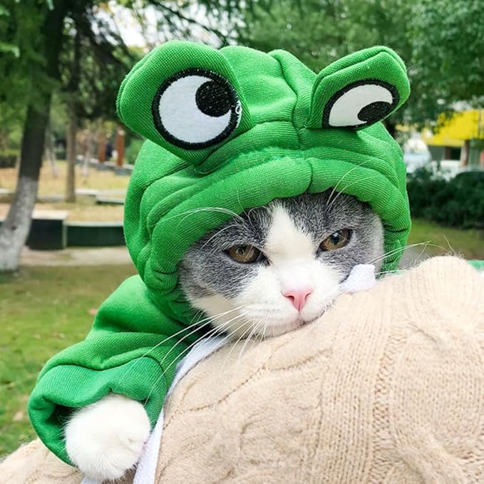 Happy Dog Hoodies Funny Dog Clothes for Small Dog Girl Boy Hooded Puppy Sweatshirt Coat Winter Cat Outfit Halloween Dog Frog Costume for Kitten Chihuahua Pomeranian Yorkie (Green, X-Small)