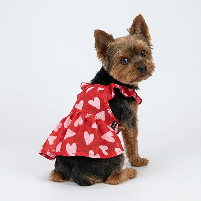 Fitwarm Valentine's Day Sweet Heart Dog Dress, Red & Pink, XXS