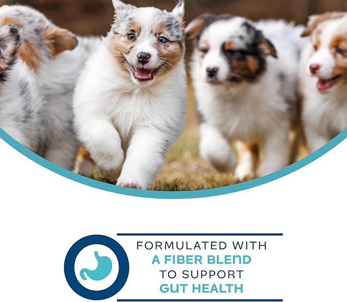 Fromm Family Nutritionals Digestive Functional Dog Treats - Premium Dog Treats to Support Digestive Issues, Upset Stomachs, & Diarrhea - Contains Pumpkin - 6 oz