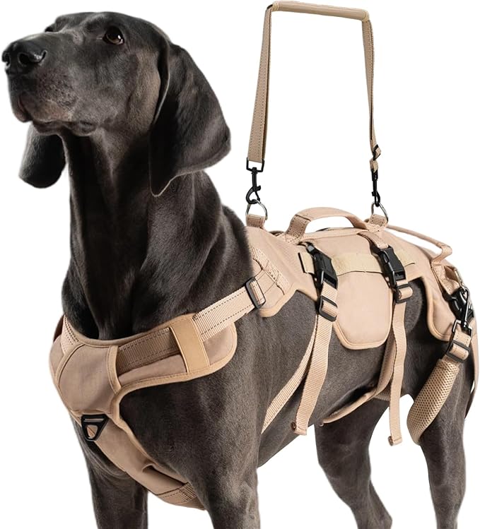 BINGPET Dog Lift Harness for Large Dogs,Full Body Support Rehabilitation Dog Sling Carrier with Handles,Reflective Multifunctional Mobility Assistance Vest for Senior Pets Joint Injuries,Arthritis,XL