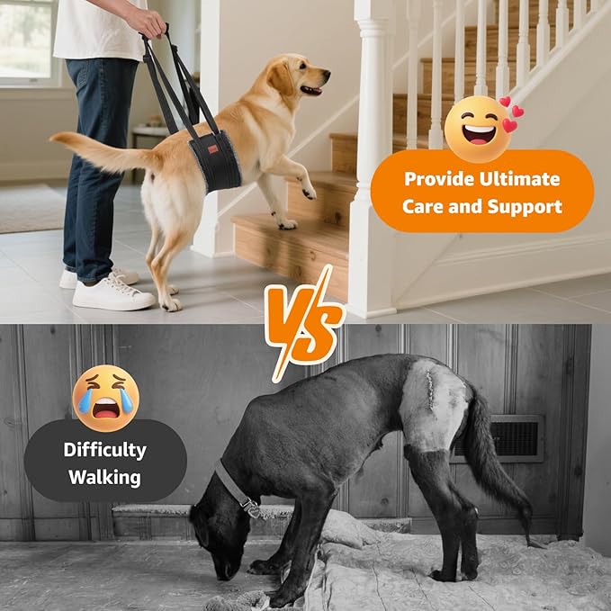 LOOBANI Dog Sling for Large Dogs Hind Leg Support, Portable Dog Lift Harness for Back Legs, Comfortable Leg Support Assistance for Elderly Dogs with Hip, ACL Brace, Senior, Injured
