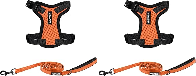 Voyager Step-in Lock Adjustable Cat Harness w. Cat Leash Combo Set with Neoprene Handle 5ft - Supports Small, Medium and Large Breed Cats by Best Pet Supplies - Orange/Black Trim, XXS (Pack of 2)