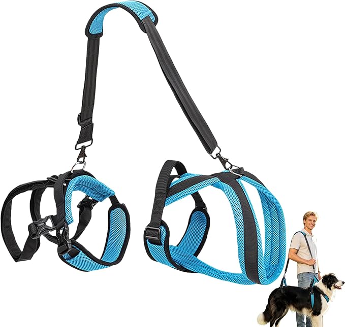 2-in-1 Pet Mobility Support Harness & Sling, Adjustable Straps with Breathable Mesh Construction, Machine Washable Design for Assisting Senior and Special Needs Pets (Blue-L)