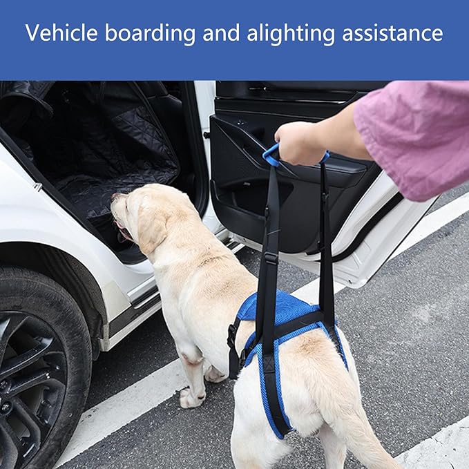 Adjustable Dog Rear Leg Harness, Breathable Mobility Aid for Elderly/Disabled Pets, Easy Stair Access Pet Rear Leg Harness Belt
