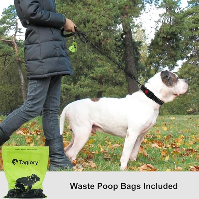 Taglory Rope Dog Leash 5 FT with Comfortable Padded Handle, Highly Reflective Threads Leash and Anti-Tangle Clip for Walking Medium Large Dogs, 1/2 inch, Black