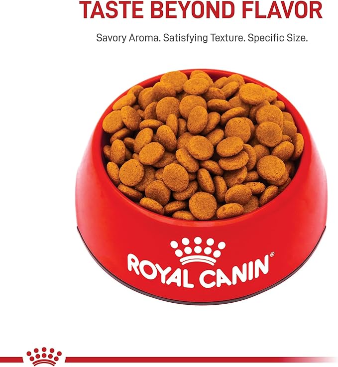Royal Canin Canine Care Nutrition Medium Digestive Care Adult Dry Dog Food, 17 lb Bag