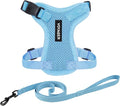 Voyager Step-in Lock Adjustable Cat Harness w. Cat Leash Combo Set with Neoprene Handle 5ft - Supports Small, Medium and Large Breed Cats by Best Pet Supplies - Baby Blue, XXXS