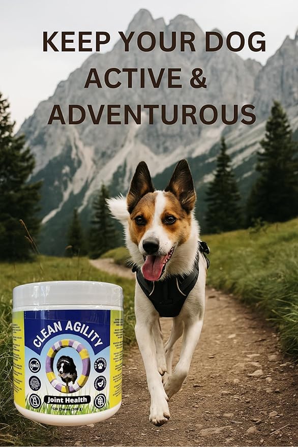 Joint Health for Dogs - Most Effective Hip and Joint Supplement Available - Formulated with Veterinarians, Glucosamine, Chondrointin, MSM, Turmeric (Soft Chew)