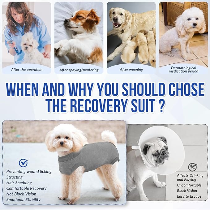 Lukovee Recovery Suit for Dogs, Onesie Surgery Recovery Suit for Female Male Dogs, Abdominal Wounds Cone E-Collar Alternative Prevent Licking Spay Recovery Suit (GY,S)