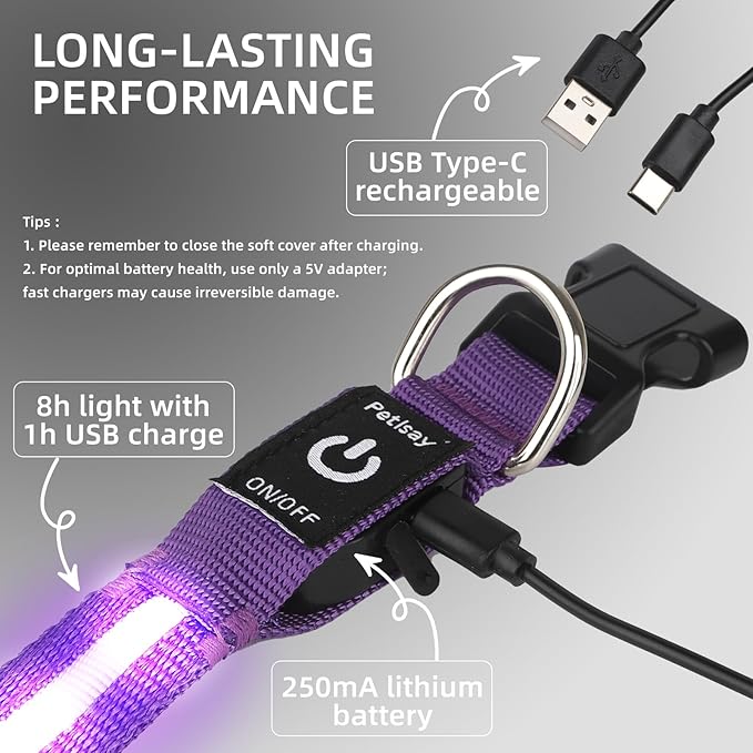 Super Bright LED Dog Collar - Fully Waterproof & Adjustable Glow Collar - USB-C Rechargeable for Night Walking, Safety - Flashing Lighted Collar for Dogs(Purple,Medium)
