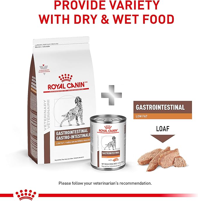 Royal Canin Veterinary Diet Canine Gastrointestinal Low Fat Adult Loaf Dog Food, 13.5 oz (Pack of 12)