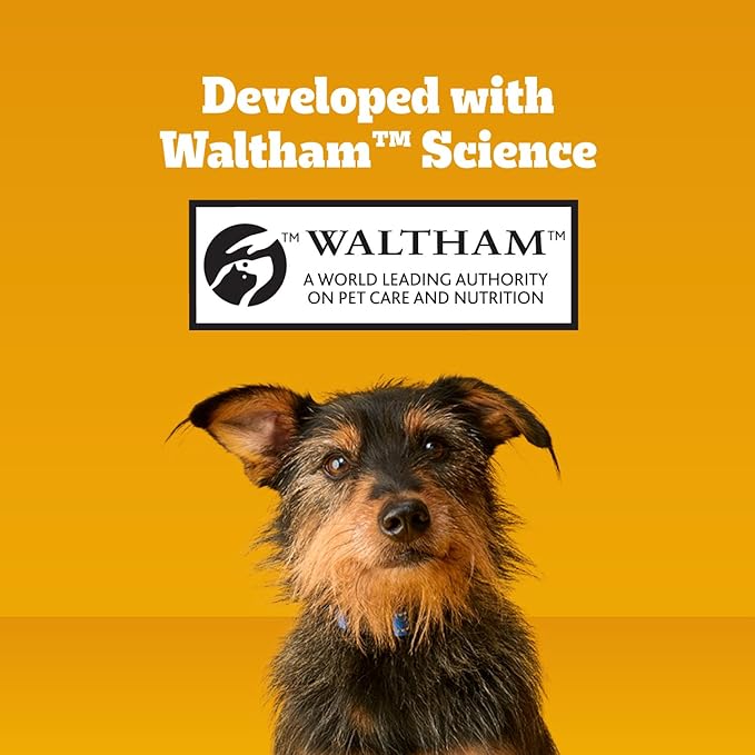Pedigree Dentastix Dog Dental Treats, Large Breed Dog Treats, Beef Flavor, 1.67 lb. Bag (32 Treats Total)