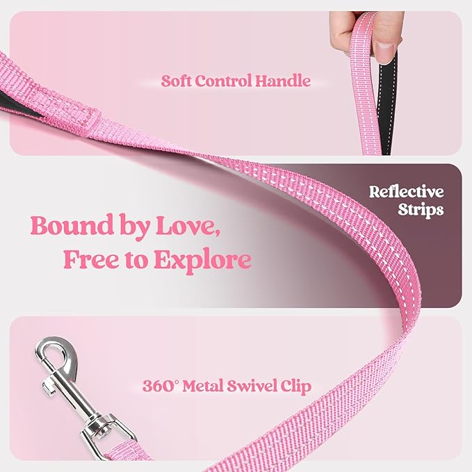 rabbitgoo Dog Harness Small Sized and Leash Set, Step in Soft Light Puppy Vest, Breathable Mesh Pet Harness, Reflective for Safe Easy Walking, Light Pink XXS