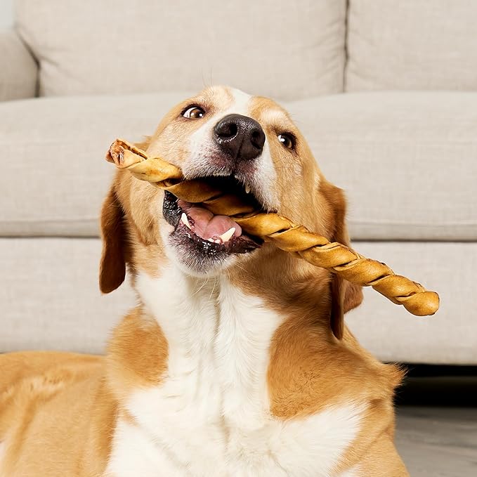 USA Beefhide Braids 12-13" Dog Chew Treats - Chicken Flavor, 2 Count/1 Pack