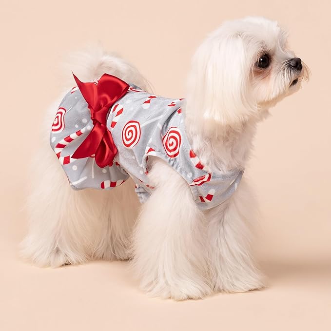 Fitwarm Christmas Candy Canes Dog Dress, Cute Dog Christmas Outfit, Doggy Clothes for Small Dogs Girl, Pet Apparel, Silver, Red, White, XS