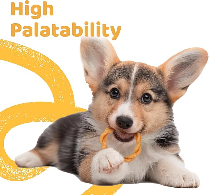 iPaw 5 Stock-Up Combo Turkey Dog Treats, All Natural Human Grade Dog Treat, Suitable for Training chew, Hypoallergenic, Rawhide Alternative, Ring (Duck Liver), 5 Packs