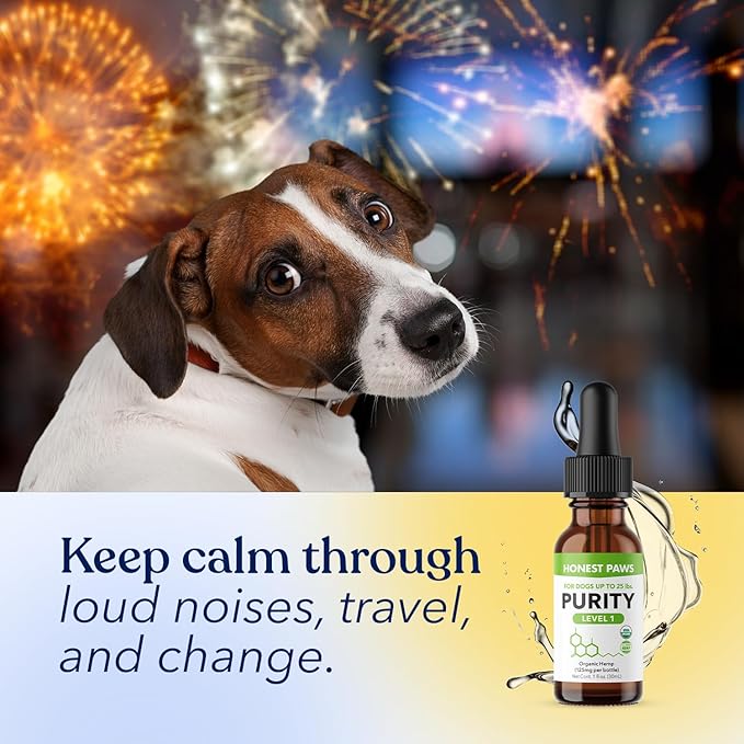 Honest Paws Hemp Oil for Dogs - Natural Hemp Seed Oil Calming Purity Drops for Dogs - Rich in Omega 3 6 9 to Promote Healthy Bones, Joint Support, Relaxation, Managing Normal Stress - Made in The USA