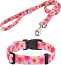 Soft Comfy Pet Collar and Leash Set for Medium Dogs, Floral Pattern for Boy Girl Puppy Dogs (Floral C Set,M)