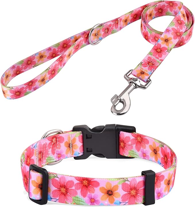 Soft Comfy Pet Collar and Leash Set for Medium Dogs, Floral Pattern for Boy Girl Puppy Dogs (Floral C Set,M)