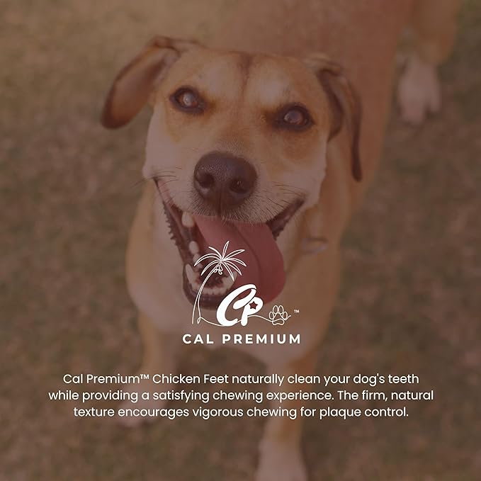 Natural Chicken Feet for Dogs - 100% USA Sourced and Made - Single Ingredient - High Protein, Low Calories - Slow-Roasted Dog Chews (100 Counts)