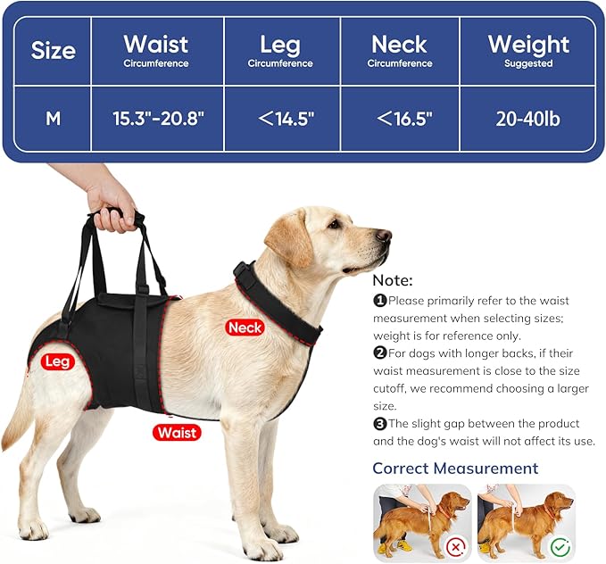 Supet Dog Sling for Large Dogs Hind Leg Support, Senior Dogs Lift Assist Harness for Weak Back Leg Support, Help Large Breed Rear Leg Up Harness, Mobility Aids for Elderly, Injured, Paralyzed Dog, M