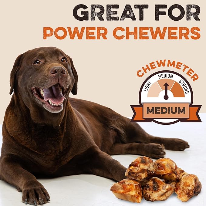 BRUTUS & BARNABY Kneecap Bones for Dogs – 100% USA-Sourced Beef – Long-Lasting Natural Chews for Aggressive Chewers – High Protein, Dental Health Support, (10-pk) – Made in The USA