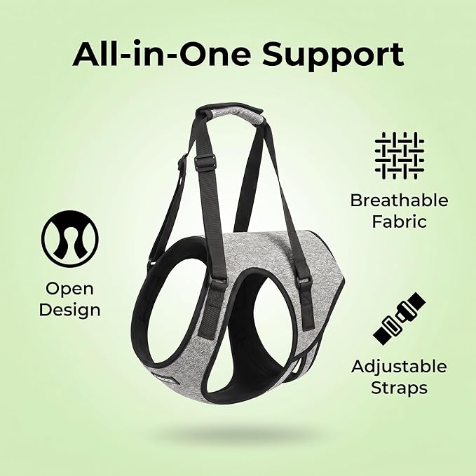 Dog Rear Leg Support Harness – Adjustable Mobility Sling for Senior Disabled Injured Dogs, Hip Joint Lift Harness for Small Medium Large Dogs, Padded Handle, Breathable & Easy to Use (XL)