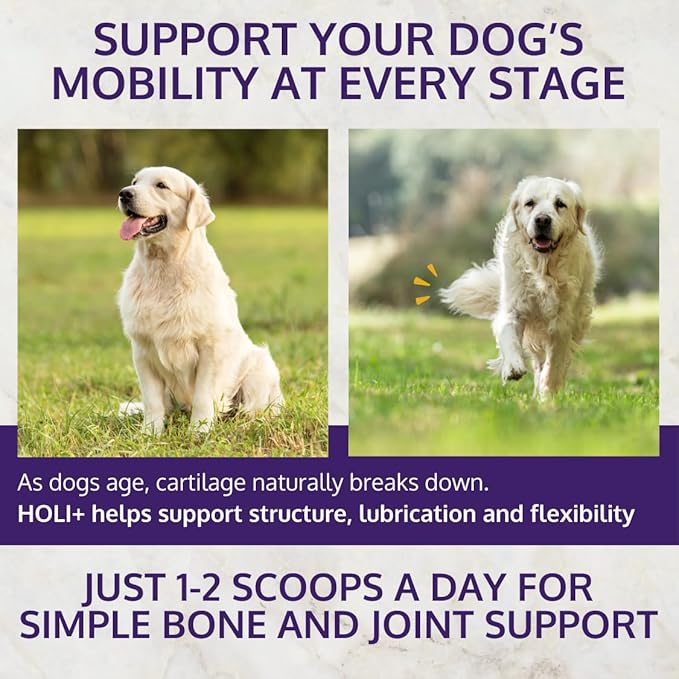 HOLI+ Collagen Supplement for Dogs - Hip and Joint Care Collagen Powder with Glucosamine and Hyaluronic Acid - Easy to Mix Functional Topper