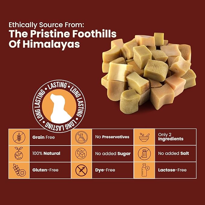 KATHMANDU'S Yak Chew Nuggets Dog Treats - (1 lb Bag) Long Lasting Himalayan All Natural Cheese Treats, Healthy Dental Chews for Aggressive Chewers, Training Dogs Treat | Yak Milk Chew Bites