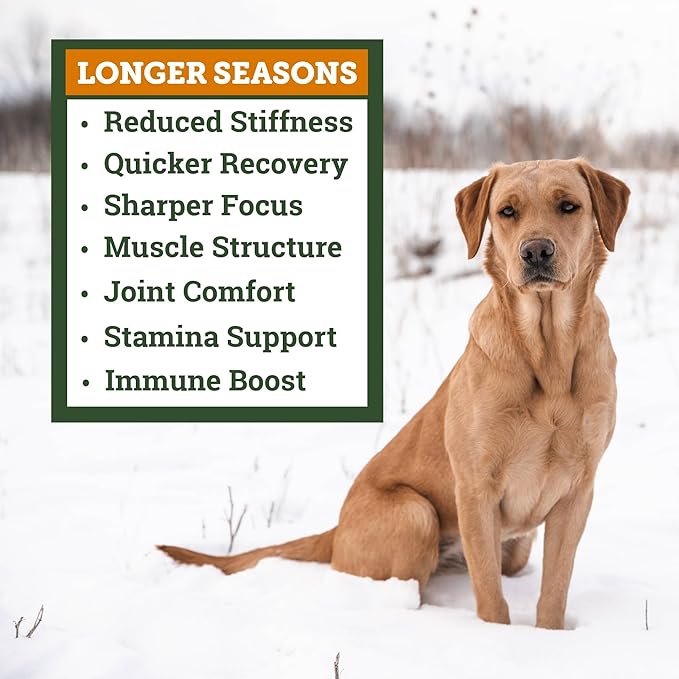 DogBone Krillagen Chews for Dogs – 90 Count Supplement - Type 2 Collagen for Hip & Joint Support – Krill Powder Omega 3 DHA + EPA for Heart, Skin, Coat - Active, Large Breed, & Senior Canine Health