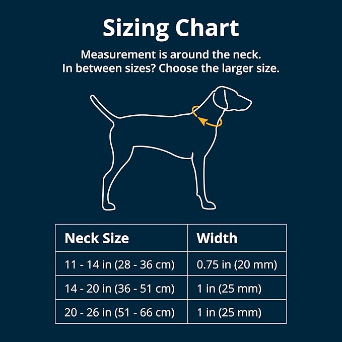 Ruffwear, Crag Dog Collar, Stylish Adventure Collar with Premium Reflective Design, Quick Release Buckle, Lightweight All-Day Comfort, Alpine Dawn, 11"-14"