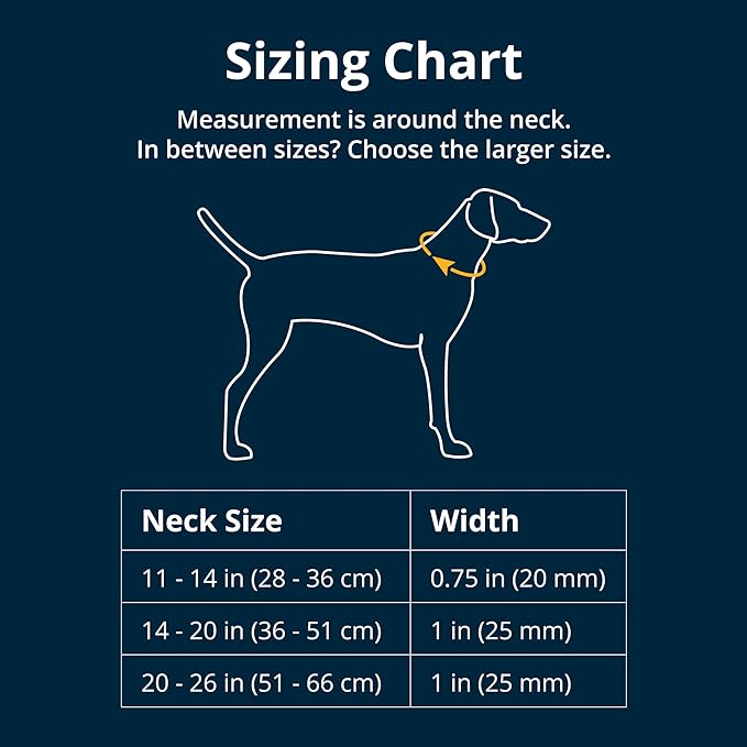 Ruffwear, Front Range Dog Collar, Adjustable Tubelok Webbing, Lightweight, Side Release Buckle, Aluminum V-Ring, Durable for Everyday Use, Spring Fade, 14"-20"