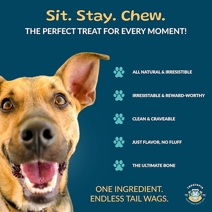 TREATOPIA Adventure Dog Bones, Delights, 1-2”, 32 PC - All-Natural, Center-Cut, Long-Lasting, Healthy, Single Ingredient, Bone Marrow, Hand-Trimmed, Slow-Roasted, Made in The USA, No Additives