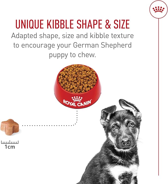 Royal Canin Breed Health Nutrition German Shepherd Puppy Dry Dog Food, 2.5 lb
